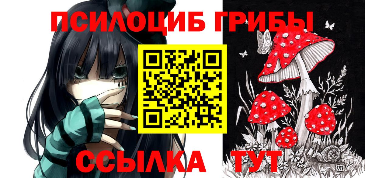 Псилоцибиновые грибы GOLDEN TEACHER  Вход с VPN  Волжский 