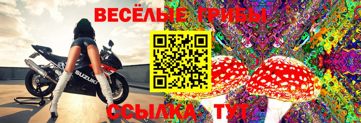 Галлюциногенные грибы ЛСД Волжский
